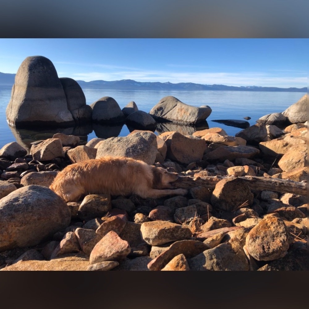 Meet your Posher, Burns